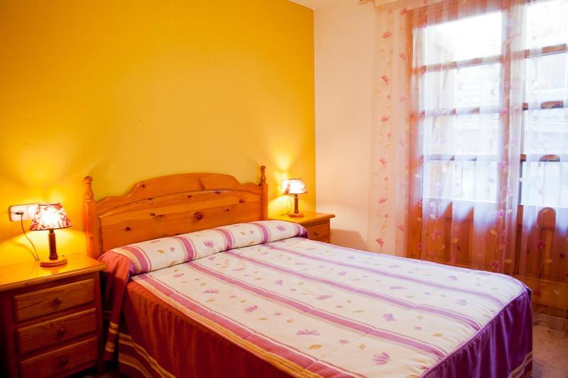 Apartamentos Mazcaray Bielsa Extérieur photo